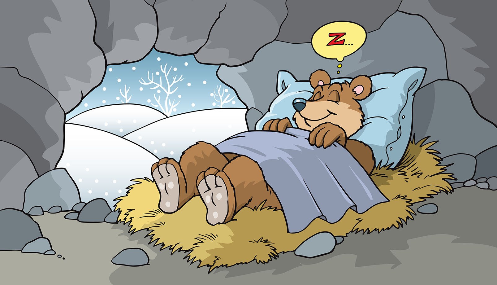 hibernating bear