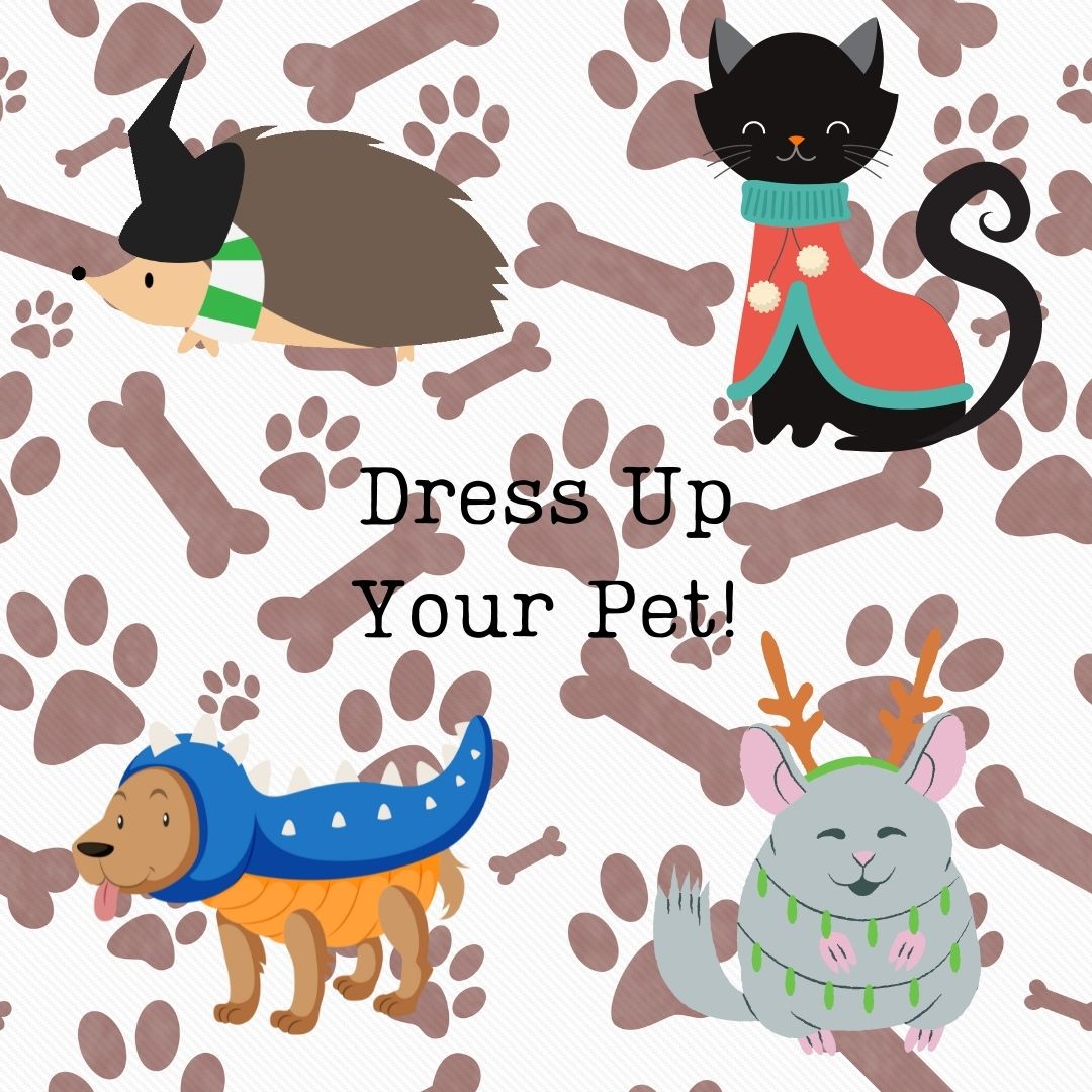 Dress Up Your Pet