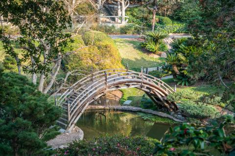 Huntington Botanical Gardens