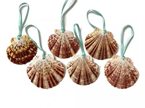 seashell ornament