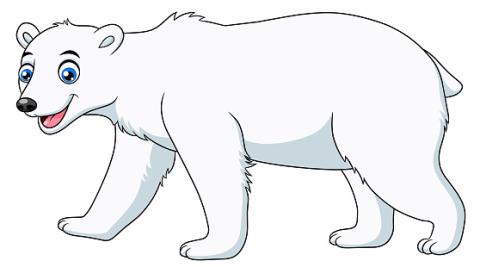 Polar bear 2