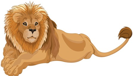 lion