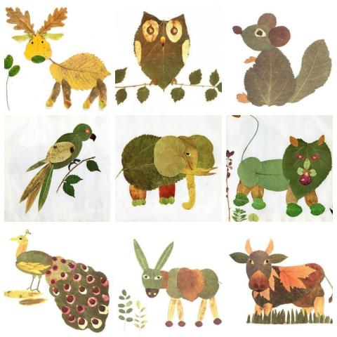 leaf animals