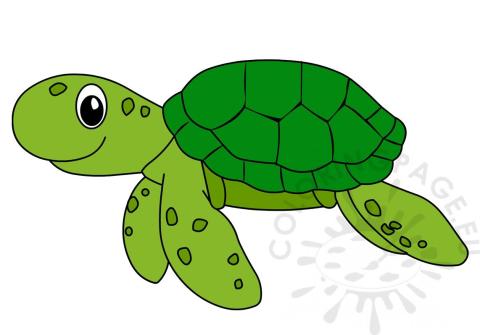 Turtle 2