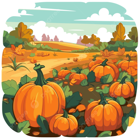 pumpkin patch