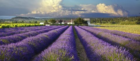 Provence