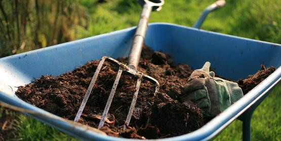 The Magic of Compost