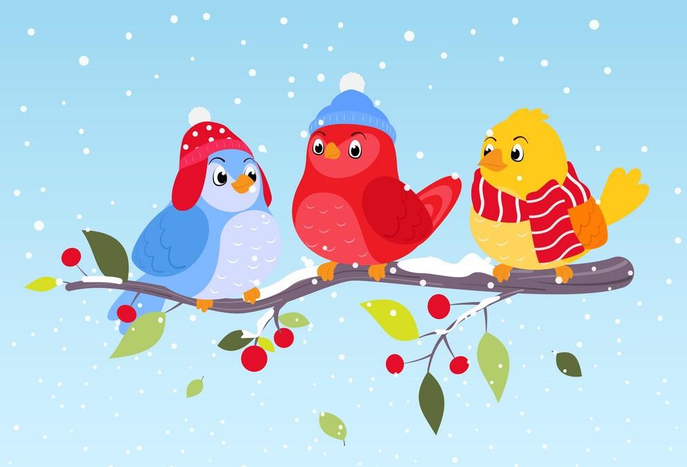 birds in winter