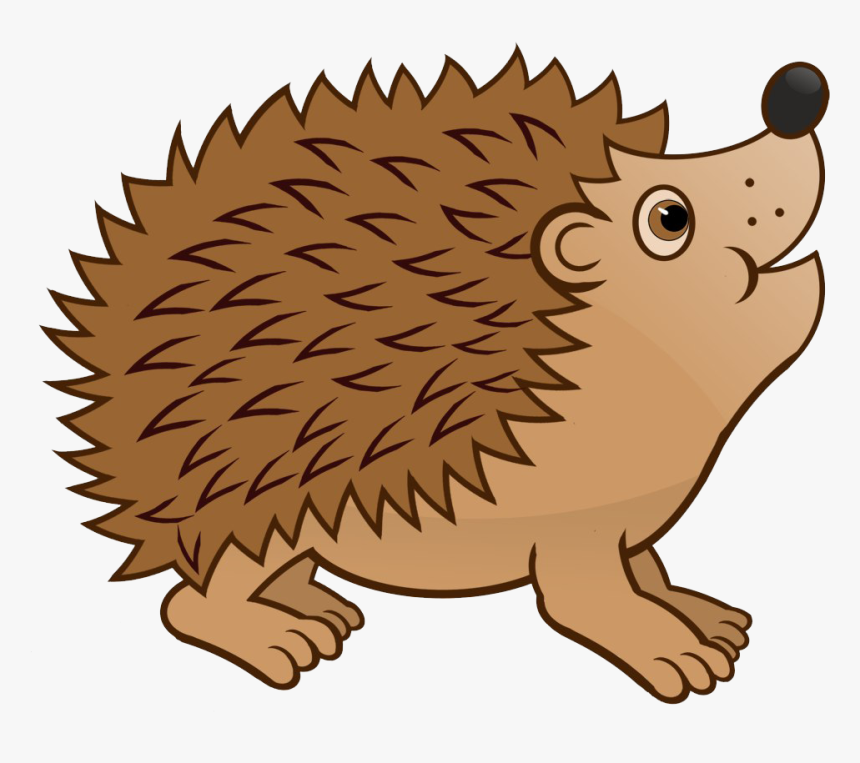 hedgehog