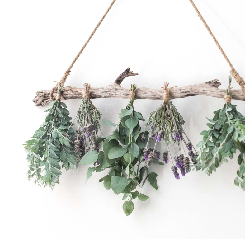 dried herbs