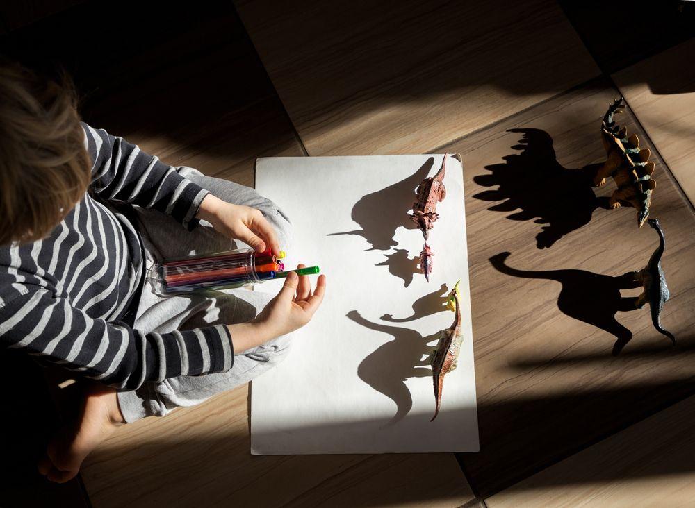 Shadow Art