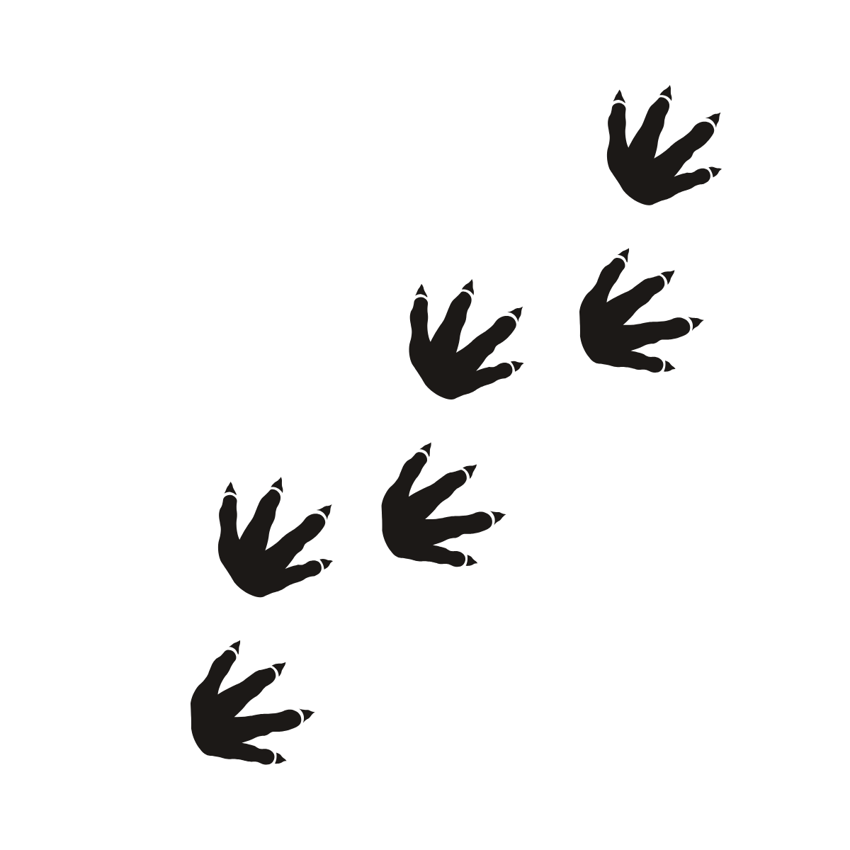 Dino Tracks