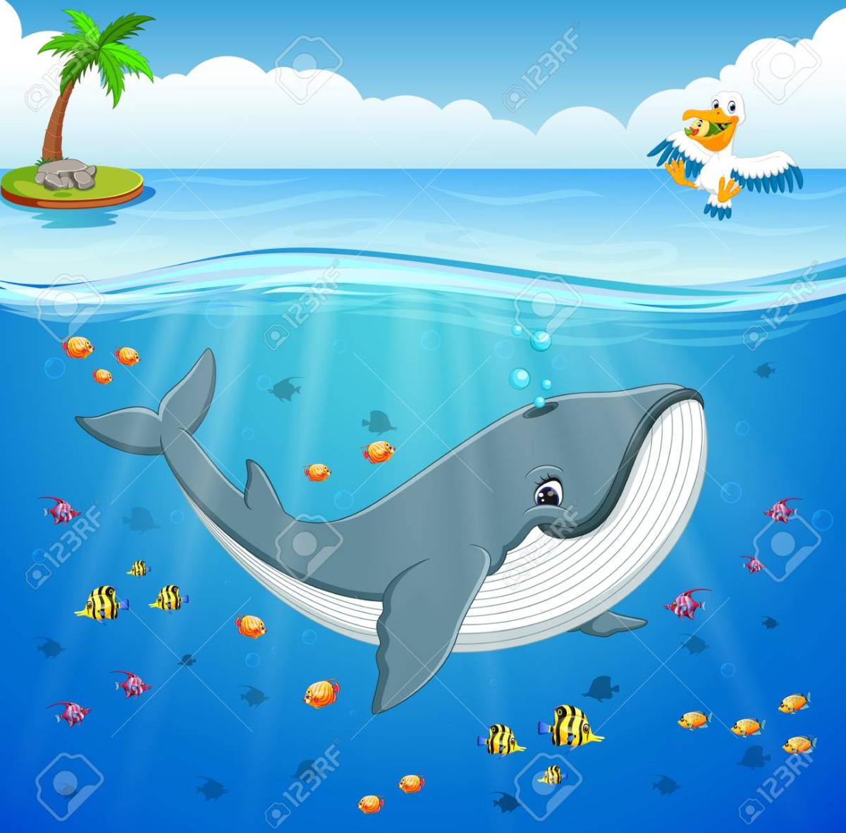 Whales