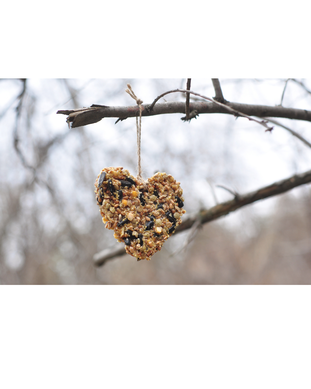 Heart Shaped Bird Feeder